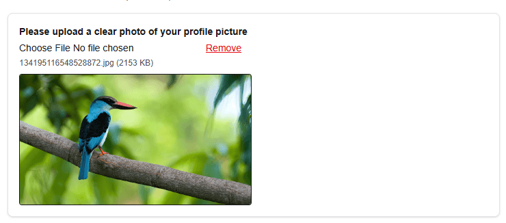 Image question in the ComMicPlan form preview