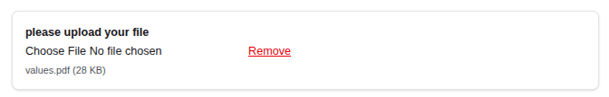 File question in the ComMicPlan form preview